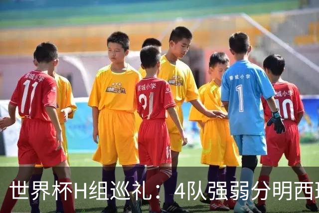 世界杯H组巡礼：4队强弱分明西班牙冲冠 佛得角首次亮相